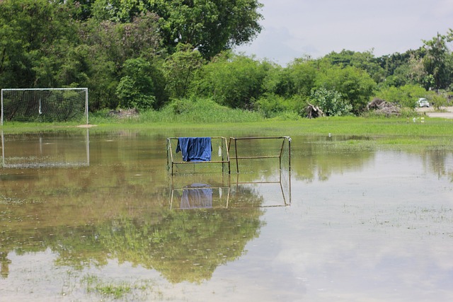 引人注目 引人注目