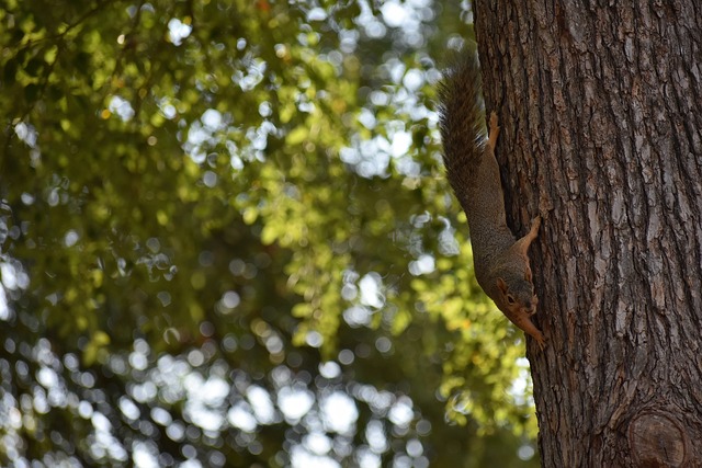 造成较大影 造成较大影