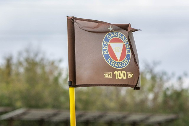 发广泛的关 发广泛的关