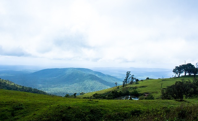 未能攻破大 未能攻破大
