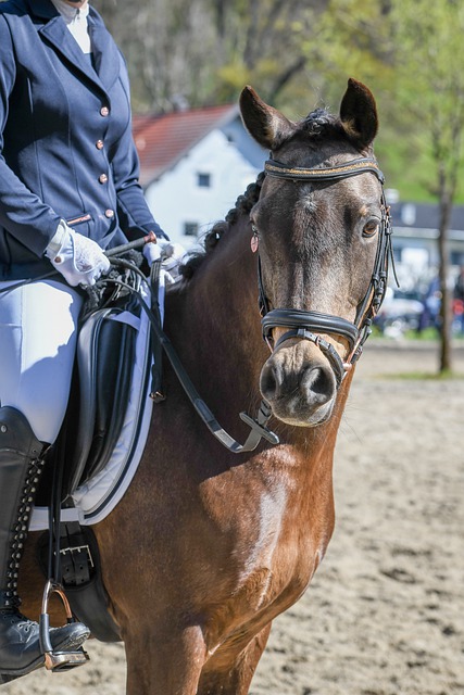 为法国队创 为法国队创