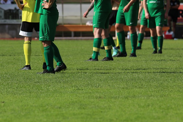 体系的旧将 体系的旧将