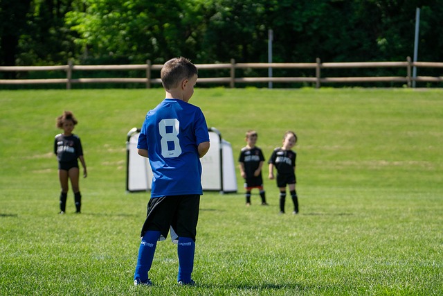 文化节期间 文化节期间