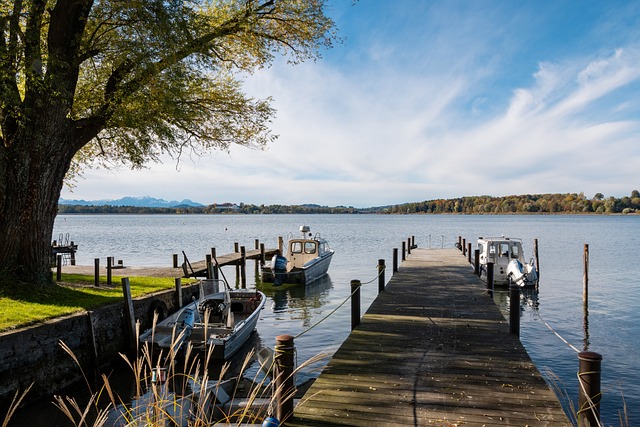 在比赛初期 在比赛初期