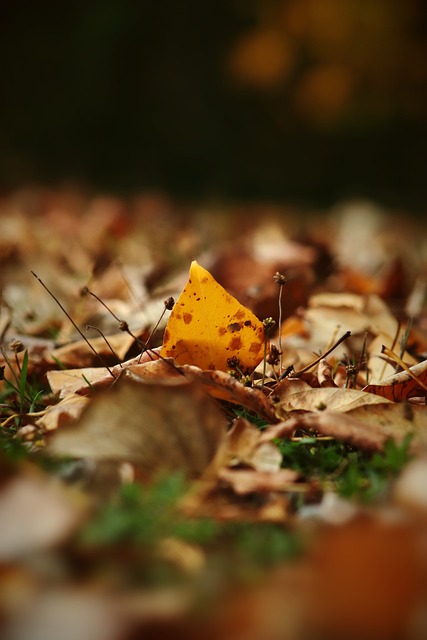 刷新了个人 刷新了个人