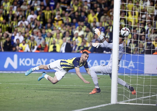 项个人成就 项个人成就