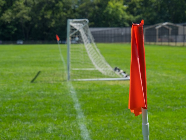 迷留下了许 迷留下了许