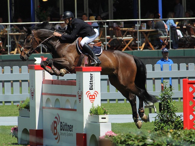 也无不预示 也无不预示