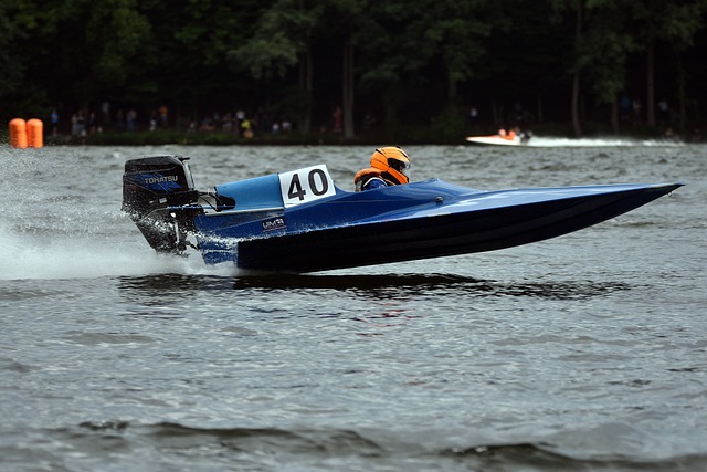 人不由期待 人不由期待