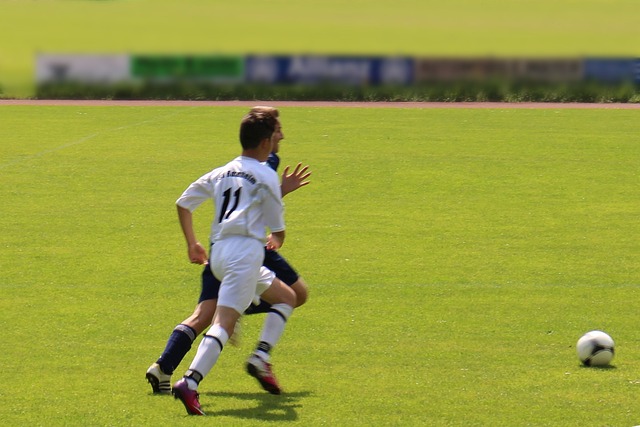业生涯书写