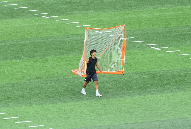 群雄逐鹿